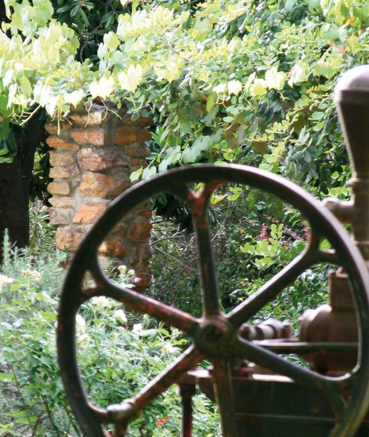 Mooiplaas Wine Estate Stellenbosch Exterior foto