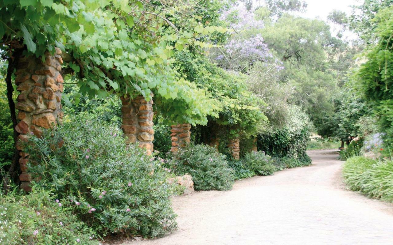 Mooiplaas Wine Estate Stellenbosch Exterior foto