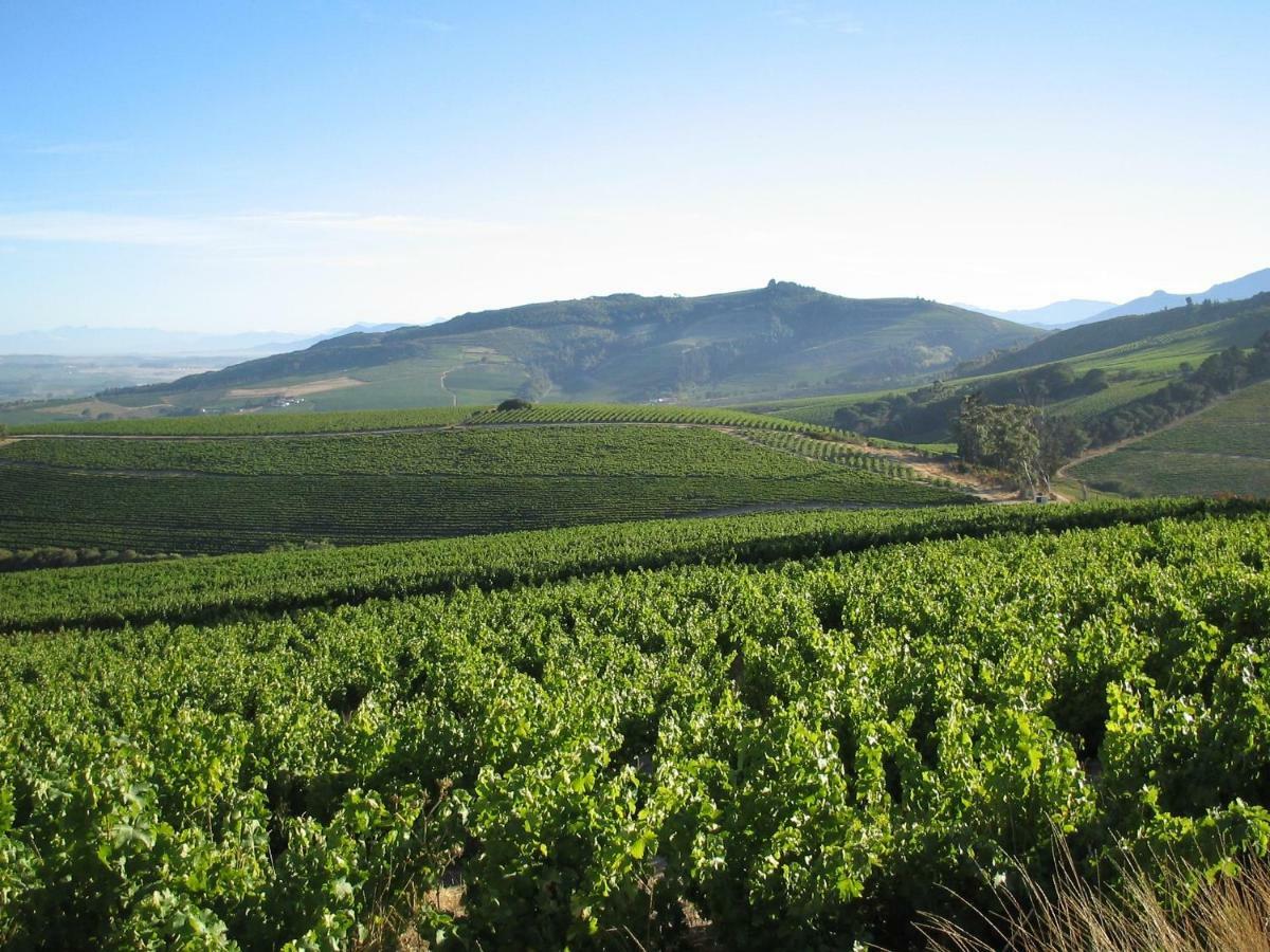 Mooiplaas Wine Estate Stellenbosch Exterior foto